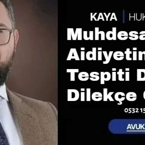 Muhdesatın Aidiyetinin Tespiti Davası Dilekçe Örneği