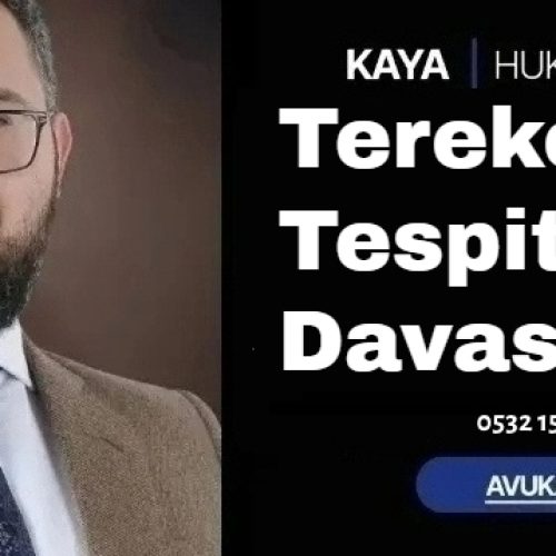 Terekenin Tespiti Davası